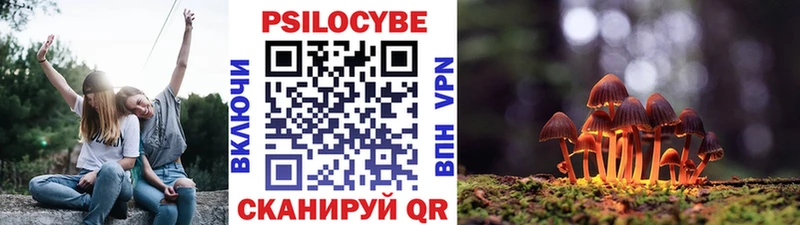 Галлюциногенные грибы Cubensis где продают наркотики Строитель